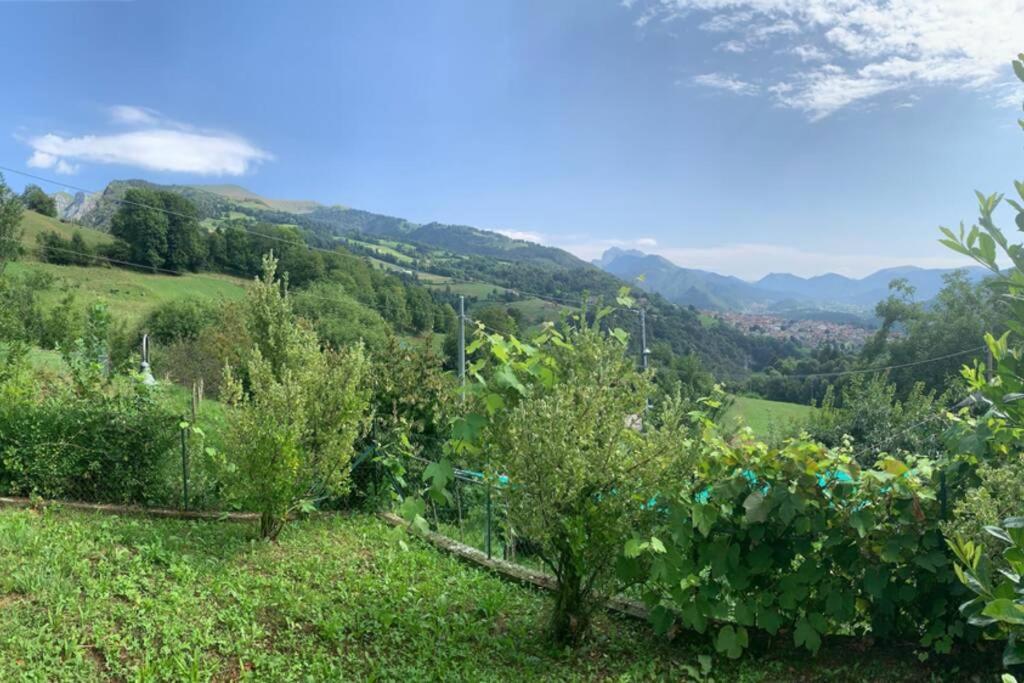 Residenza Fornaro Villa Premolo Eksteriør billede